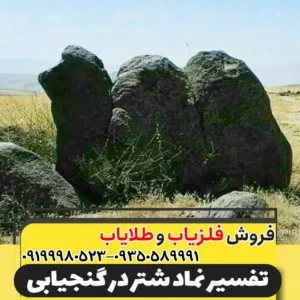 نماد شتر در دفینه یابی