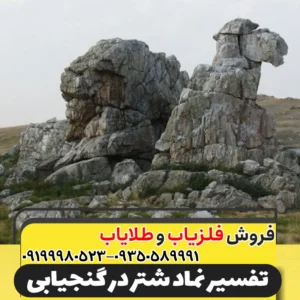 نماد شتر در دفینه یابی