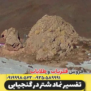 نماد شتر در دفینه یابی