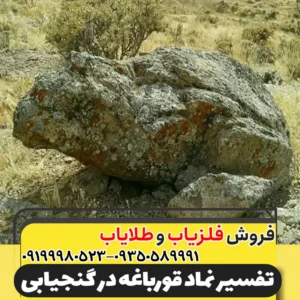 نماد قورباغه در دفینه یابی