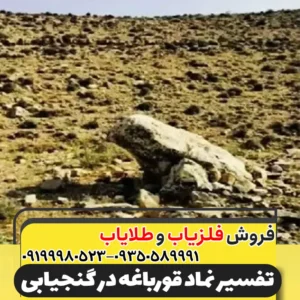 نماد قورباغه در دفینه یابی