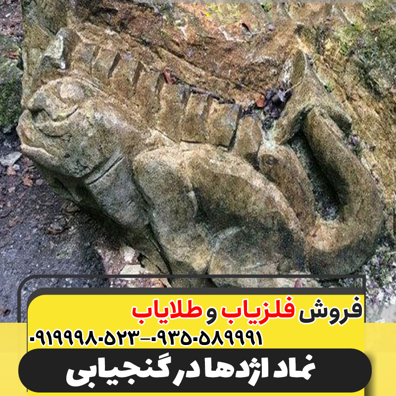 نماد اژدها در گنجیابی09199980523