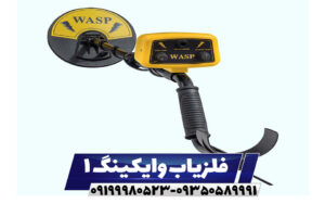 فلزیاب وایکینگ ۱ (Viking ۱)